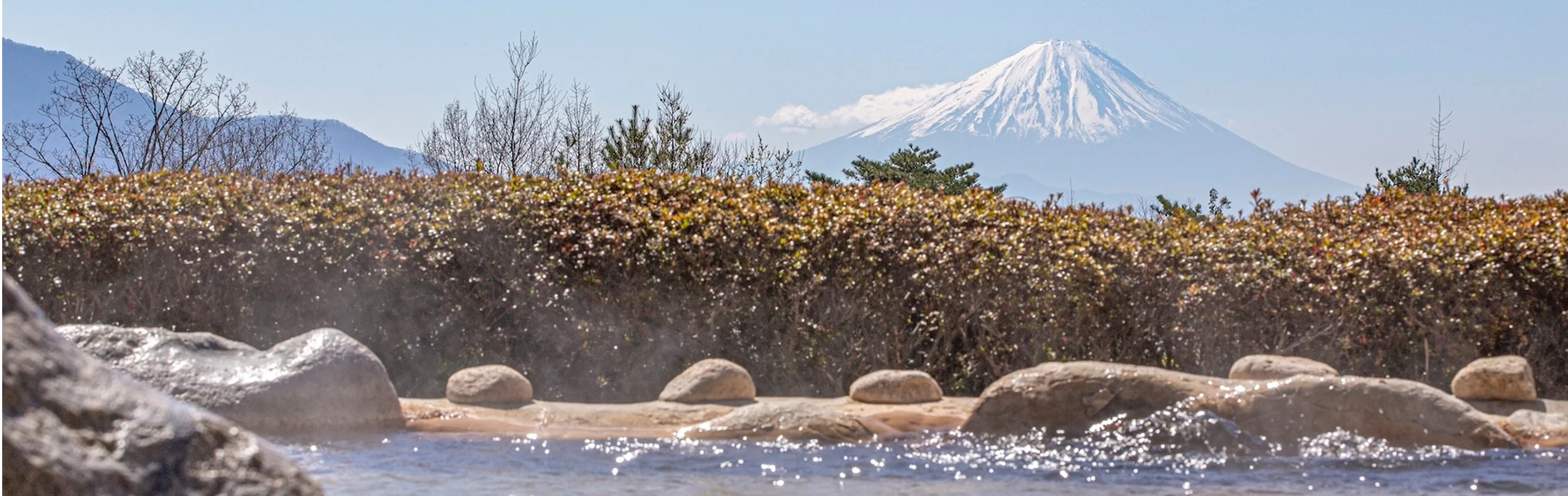 露天風呂の湯船越しに茂みと富士山を望む風景（パノラマの湯）